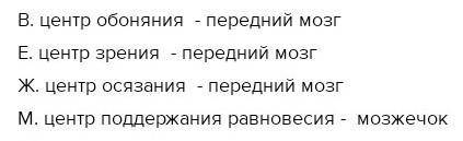 Обозначь, в каком отделе мозга находятся центры у рептилий, обозначенные буквами. А — центр обоняния