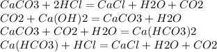 CaCO3+2HCl=CaCl+H2O+CO2 \\ CO2+Ca(OH)2=CaCO3+H2O \\ CaCO3+CO2+H2O=Ca(HCO3)2 \\ Ca(HCO3)+HCl=CaCl+H2O+CO2