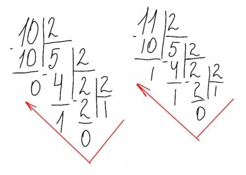 Даны два числа в десятичной системе счисления: 10 и 11. Переведите данные числа в двоичную систему с