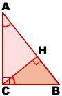 Докажите лемму: Высота прямоугольного треугольника, проведённая к гипотенузе, делит треугольник на д