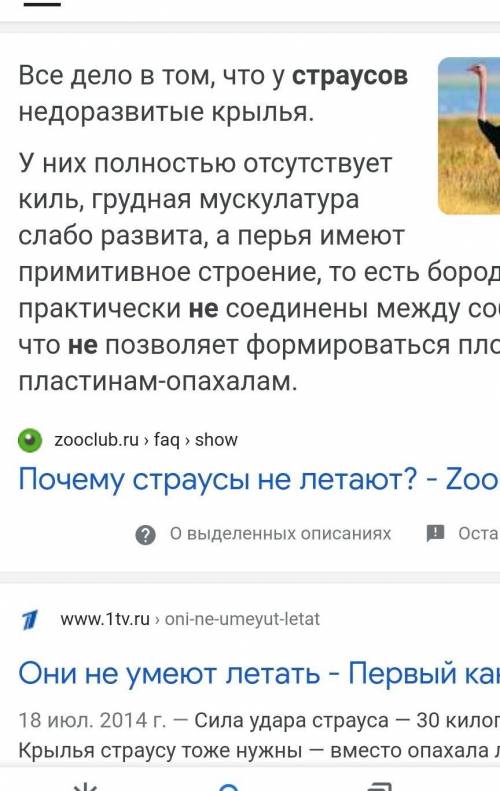 Почему страус не может летать​