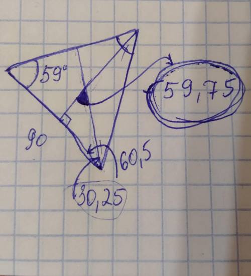 Произвольный треугольник имеет два равных угла. Третий угол в этом треугольнике равен 59°. Из равных