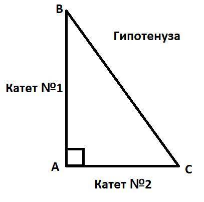 стороны прямоугольного треугольника равны 24 см, 10 см, 26 см, Чему равен наибольший катет данного т