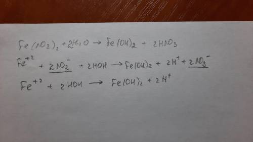 Уравнение гидролиза в молекулярном и ионном виде Fe(NO2)2