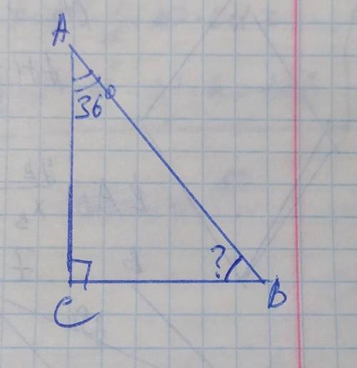 Найти угол прямоугольного треугольника если один его острый угол равен 36 ​