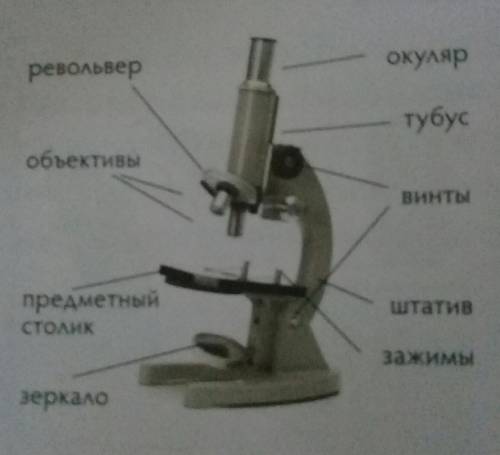 На рисунке представлен световой микроскоп ​
