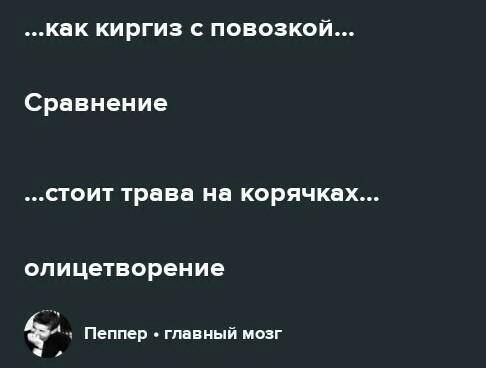 Определите художественные средства в отрывке ( Олицетворения, эпитеты. сравнения. метафоры, градацию