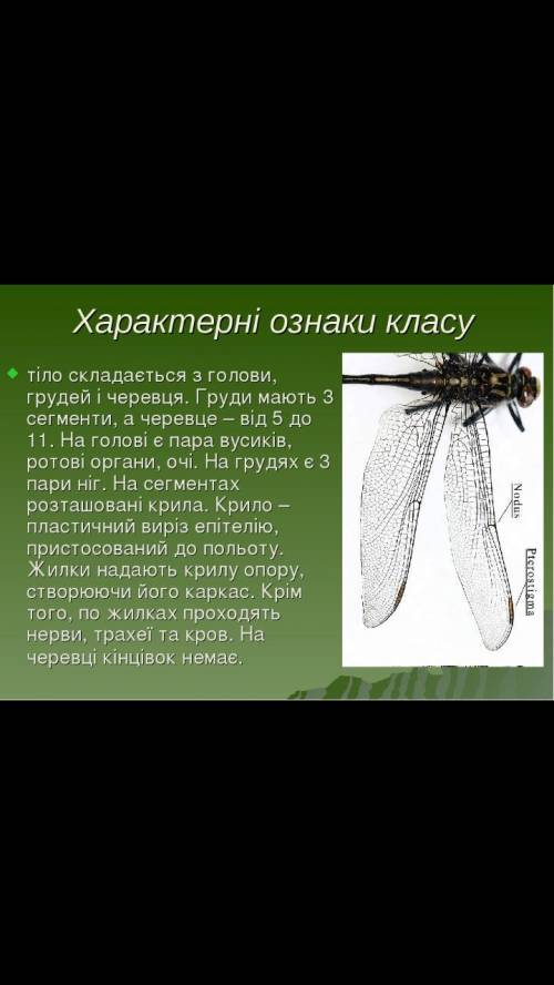 Характерні ознаки класу комахи​