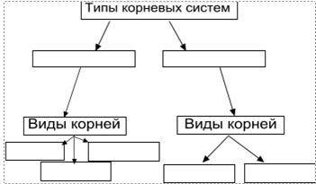 Как человек использует луг заполни схему луг человеку