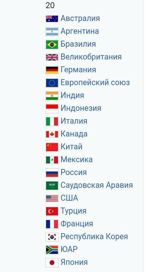 Почему в g20 входит только 19 стран? ​
