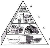 2. На пирамиде полноценного питания организма, напишите продукты.​