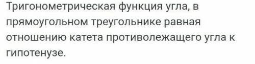 Что такое синус ? дай плодный ответ. ​