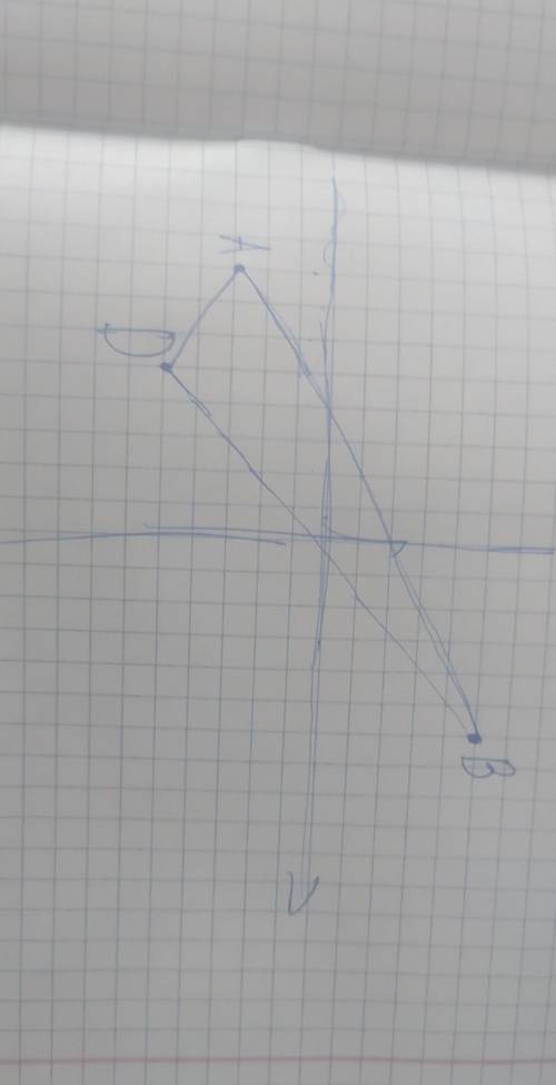 Отметьте на координатной плоскости точки A(–8;-3), B(6;5), D(-5;-5). Постройте треугольник A1 B1 D1