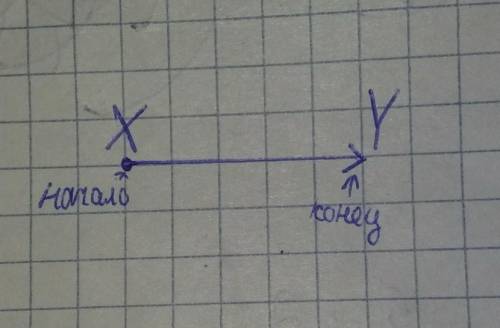 Изобразите вектор XY. Укажите начало и конец вектора.​
