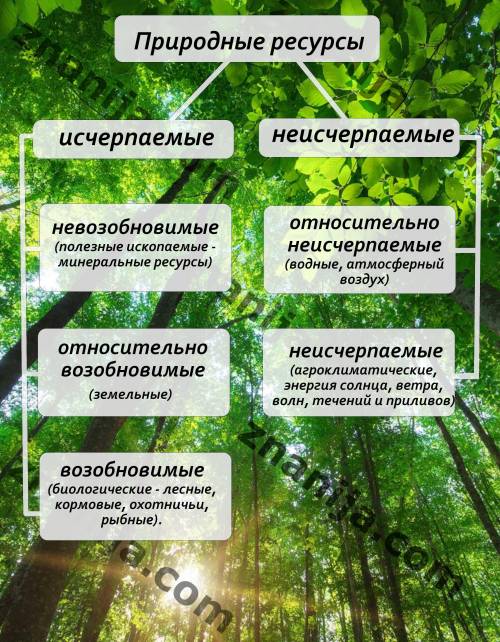 Составьте схему Классификация природных ресурсов.Подчеркните те которые есть на территории Казахстан