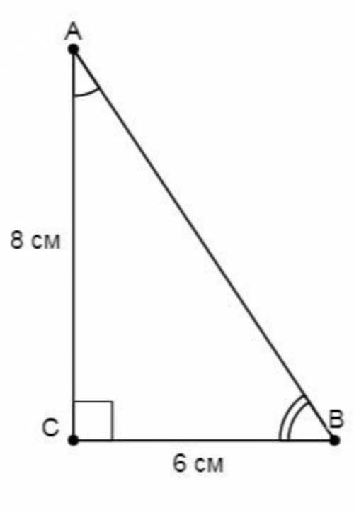 В треугольнике ABC угол C=90°, AB=8 см,BC = 6 см найдите tg. B