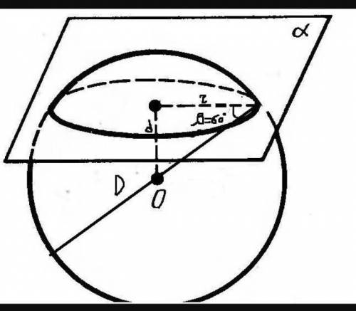 Площина перетинає сферу Діаметр проведений в одну із точок перетину, має довжину 22 см і утворює з п