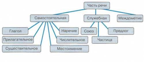 Сколько всего частей речи в русском языке?это​