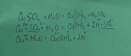 Написать молекулярное, полное и сокращенное ионное уравнения реакции CuSO4+H2O CH3COONа+H2O