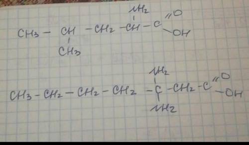 Напишите формулы следующих веществ: а) 2 метил 2 аминопентановая кислотаб) 4 метил 4 аминопентановая