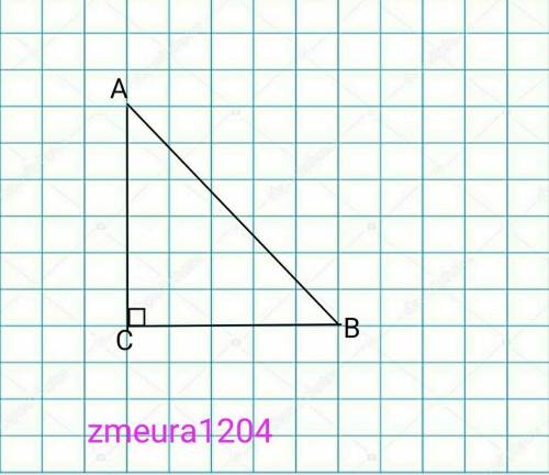 Знайдіть гіпотенузу АВ прямокутного трикутника АВС, якщо АС=8см, cos<В=3\5
