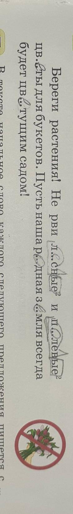 Береги растения! Не рви , л...сные? и п...левые? цв...ты для букетов. Пусть наша родная з...мля всег