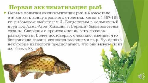 Какие виды рыб были акклиматизированы в Кузбассе