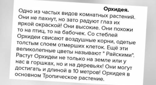 Описать любое комнотное Растение​