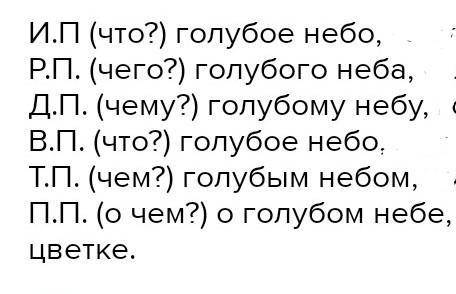 просклоняйте словосочетания: Далекая страна, голубое небо, родной край.