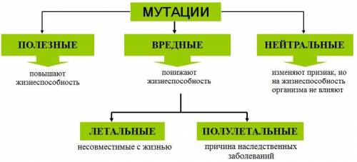 МУТАЦИЯНЫН ПАЙДАСЫ МЕН ЗИЯНЫ? ПОЛЕЗНАЯ И ВРЕДНАЯ МУТАЦИЯ?