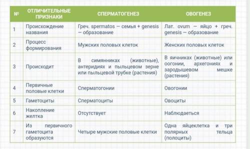 Що спільного у процесах сперматогенезу та оогенезу?​