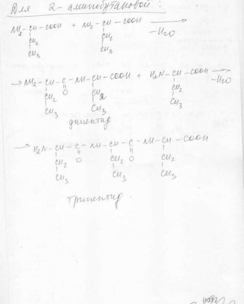 Напишите уравнение реакции образования дипептида из аланина и аспарагиновой кислоты