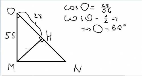 Дан треугольник OMN, у которого прямой угол M, и из этого угла опущена высота. Катет OM равен 56 см,
