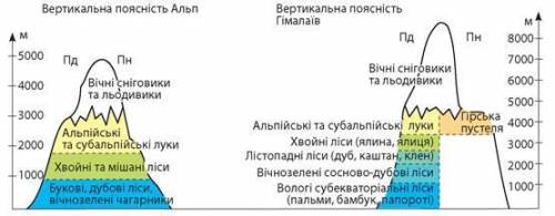 Складить схему вертикальной поясности Гімалаєв​