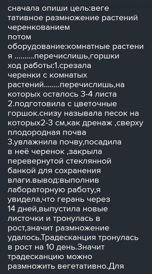 Цветоводу поступил заказ на 100 кустиков традесканции, которые нужны через 3 месяца. Цветовод будет