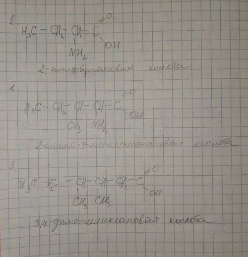 Напишіть структурні формули сполук: а) 2-амінобутанова кислота;6) 2-аміно-3-метилпентанова кислота;в