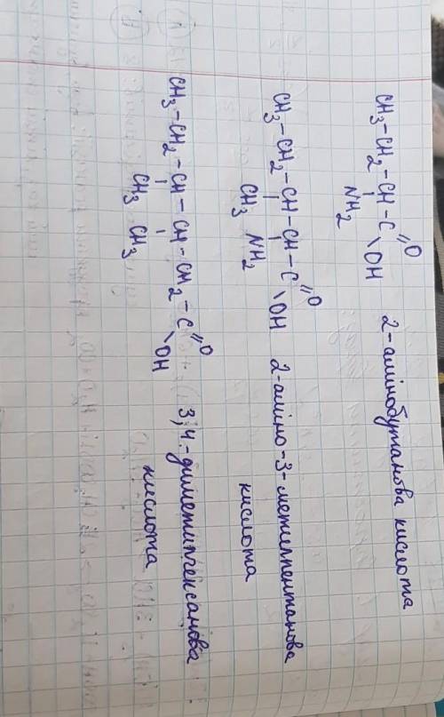Напишіть структурні формули сполук: а) 2-амінобутанова кислота;6) 2-аміно-3-метилпентанова кислота;в