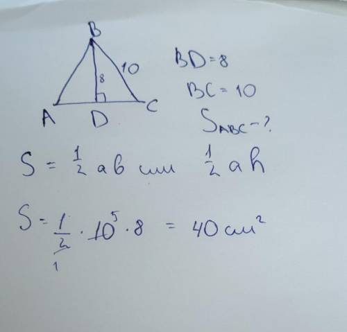 Найдите площадь треугольника Авс высота вд =5 см вс=10см​