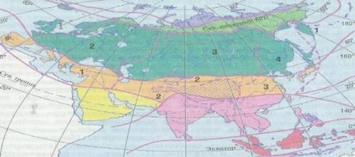 В каком климатическом поясе лежит большая часть территории Евразии? Варианты ответов: А) Арктический