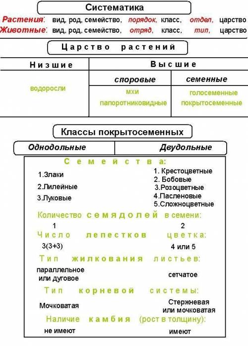 Какие бывают отделы и классы растений ответьте ​