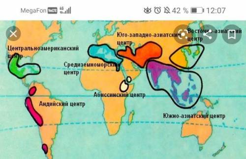 На карте нанесены основные центры происхождения культурных растений и домашних животных. Назовите их