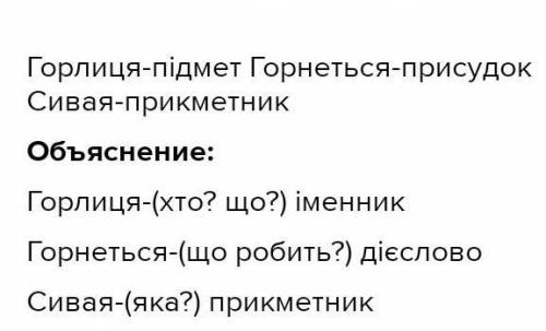 Домашне завдання Запишіть речення. Вкажіть розряд займенників. Визначте члени |речення. 1. Мати наша