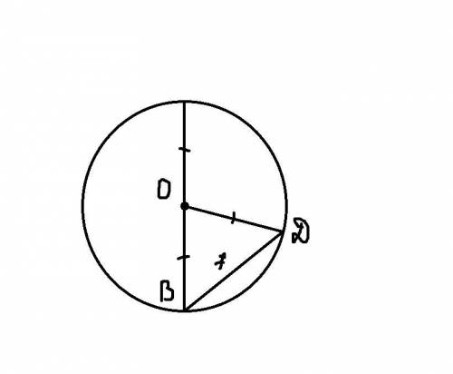 Діаметр кола із центром О дорівнює 12см. Знайди периметр трикутника BOD,якщо хорда BD дорівнює 7см