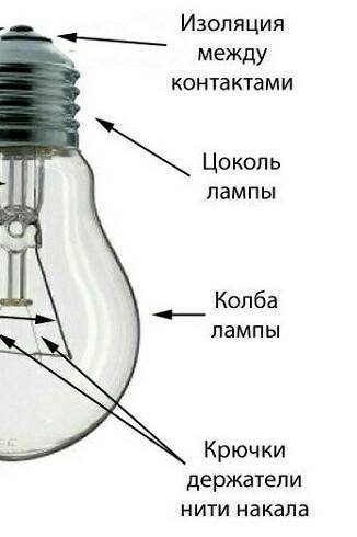 структура лампочки​