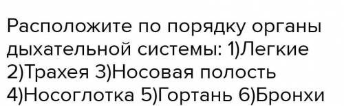 Расположи органы дыхательной системы, в том порядке ,в котором по ним проходит воздух: Легкие,бронхи