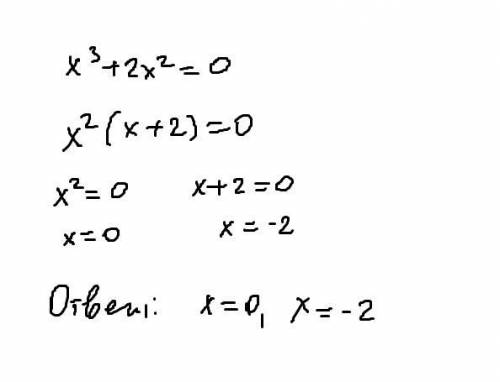 Запишите больший корень уравнения x³+2x²=0