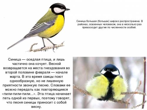 Задание 2. Выбери и отметь галочкой правильный ответ. Синица - это...перелётная птицаосёдлая птицаЗа