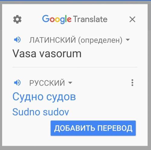 Vasa vasorum перевод