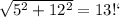 \sqrt{5^{2} +12^{2} } =13 СМ