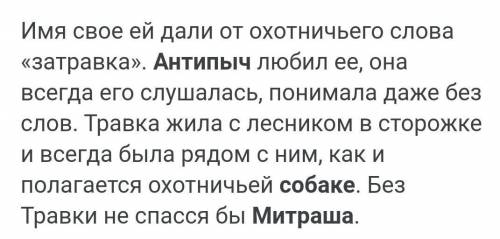 Соч по Русской литературе. 1. Почему Настя и Митраша назвали собаку Антипыча по-разному? 2. «Когда